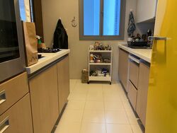 Residences @ Evelyn (D11), Condominium #324404351